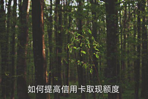 中信怎么提高取現(xiàn)額度，誰(shuí)能告訴我中信銀行怎么提高限額
