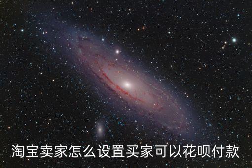 賣家怎么設置花唄支付，淘寶賣家怎么設置買家可以花唄付款