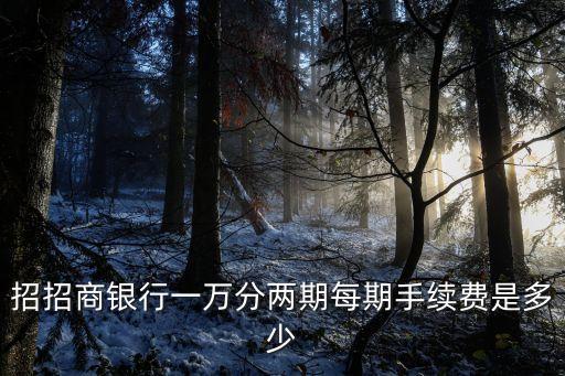招招商銀行一萬(wàn)分兩期每期手續(xù)費(fèi)是多少