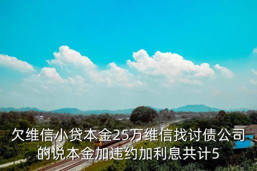 維信小貸公司怎么催款，小額貸款公司怎么討債