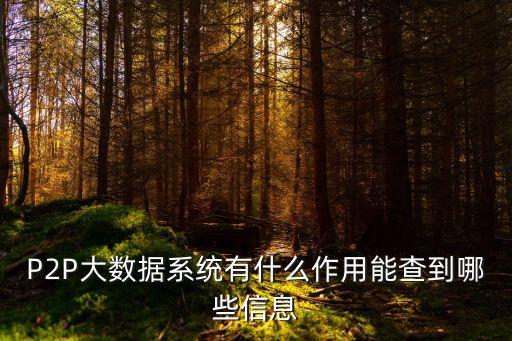 P2P大數(shù)據(jù)系統(tǒng)有什么作用能查到哪些信息