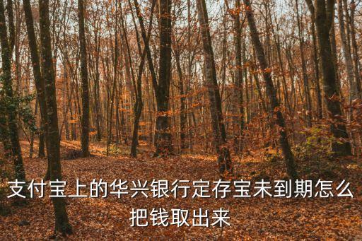 支付寶上的華興銀行定存寶未到期怎么把錢取出來