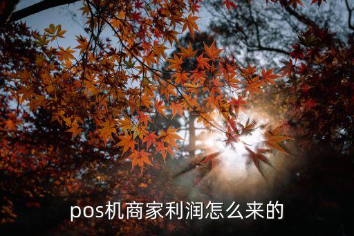 賣拉卡拉pos機(jī)怎么掙錢，賣POS機(jī)怎么賺錢的
