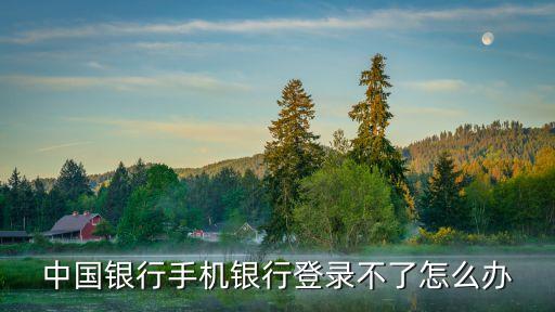 下手機(jī)銀行了怎么登陸不了，手機(jī)銀行為什么登錄不了