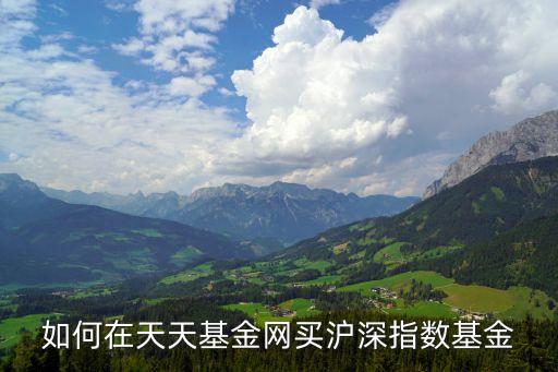 天天基金網(wǎng)怎么買，在天天基金網(wǎng)上怎么才能買基金 需要什么