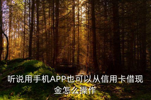 聽說用手機(jī)APP也可以從信用卡借現(xiàn)金怎么操作