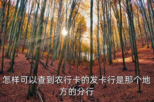 怎樣可以查到農(nóng)行卡的發(fā)卡行是那個地方的分行