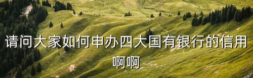 四大銀行怎么辦，四大銀行是哪四大