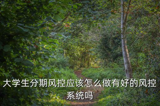 大學(xué)生分期風(fēng)控應(yīng)該怎么做有好的風(fēng)控系統(tǒng)嗎