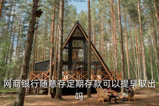 網(wǎng)商銀行隨意存定期存款可以提早取出嗎
