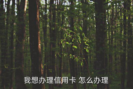 我要辦興業(yè)銀行信用卡怎么辦，我想辦理信用卡 怎么辦理