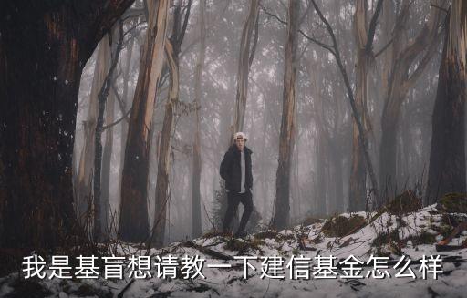 我是基盲想請教一下建信基金怎么樣