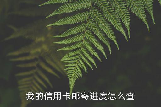 怎么查信用卡寄的單號(hào)查詢(xún)，信用卡寄出怎么查