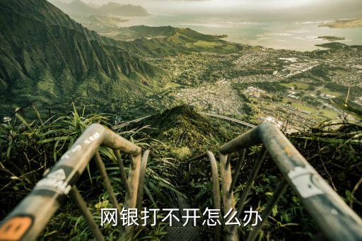 銀行網(wǎng)站打不開怎么辦，網(wǎng)銀打不開怎么辦