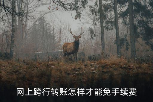跨行轉(zhuǎn)賬怎么弄不收費(fèi)，網(wǎng)上跨行轉(zhuǎn)賬怎樣才能免手續(xù)費(fèi)
