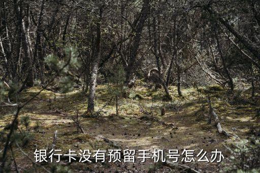 銀行卡沒有預(yù)留手機(jī)號怎么辦