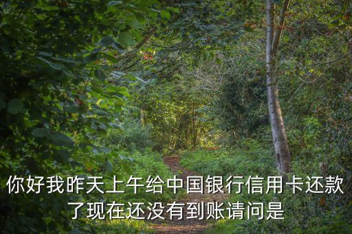 你好我昨天上午給中國(guó)銀行信用卡還款了現(xiàn)在還沒有到賬請(qǐng)問是