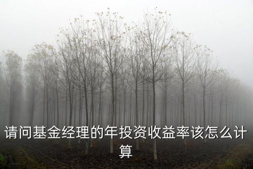 請問基金經(jīng)理的年投資收益率該怎么計算
