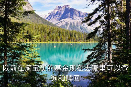 淘寶基金贖回怎么查，在淘寶買(mǎi)的基金在哪里能查到