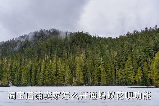 淘寶商家花唄怎么開通，淘寶店鋪賣家怎么開通螞蟻花唄功能