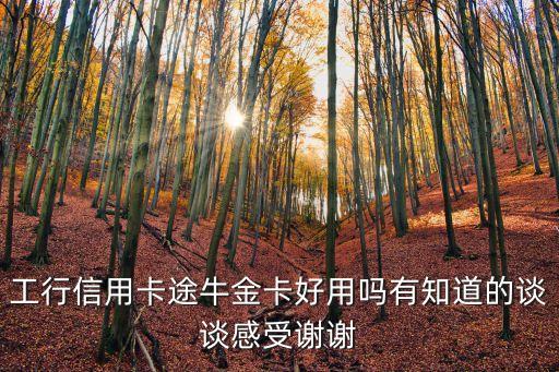 工行信用卡途牛金卡好用嗎有知道的談?wù)劯惺苤x謝