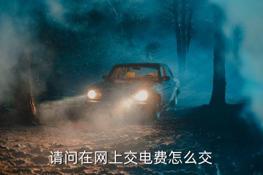 請問在網(wǎng)上交電費(fèi)怎么交