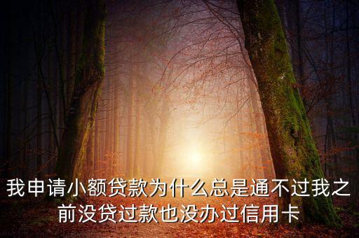 小額貸款過不了怎么辦，急用錢征信花了小貸做不了網(wǎng)貸不能做怎么辦哪里能做  搜