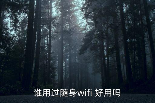 誰用過隨身wifi 好用嗎