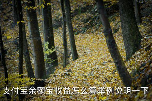 貨幣基金 余額寶收益怎么算，支付寶余額寶收益怎么算舉例說明一下