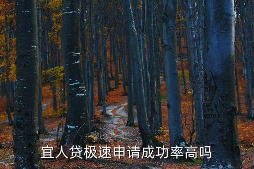 宜人貸極速申請成功率高嗎