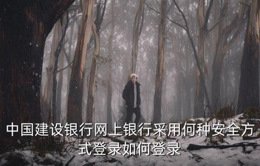 怎么登陸中國建設(shè)銀行，建設(shè)銀行網(wǎng)上銀行怎么登陸