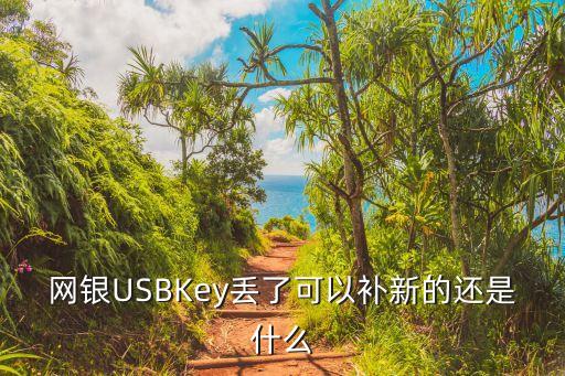 中行ukey壞了怎么補(bǔ)辦，網(wǎng)銀USBKey丟了可以補(bǔ)新的還是什么