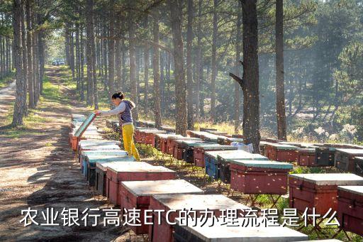 農(nóng)業(yè)銀行高速ETC的辦理流程是什么