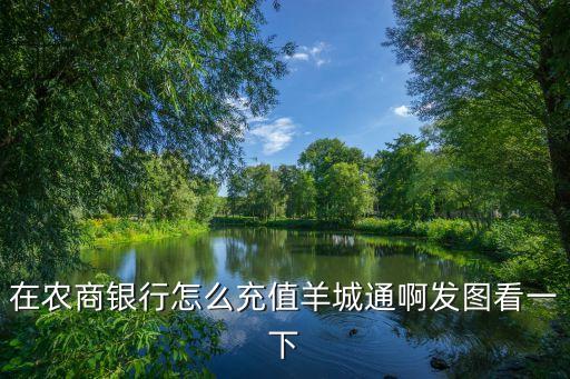 農商銀行etc怎么充錢，在農商銀行怎么充值羊城通啊發(fā)圖看一下
