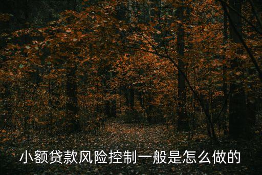 小額貸款風(fēng)險(xiǎn)控制一般是怎么做的