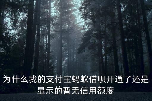 為什么我的支付寶螞蟻借唄開通了還是顯示的暫無信用額度