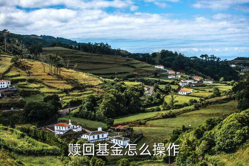 贖回基金怎么操作