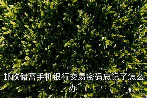 郵政儲(chǔ)蓄手機(jī)銀行交易密碼忘記了怎么辦