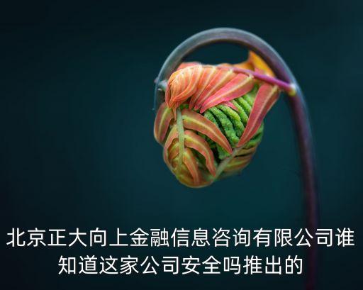 北京正大向上金融信息咨詢有限公司誰知道這家公司安全嗎推出的