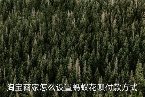 淘寶怎么設(shè)置支持花唄支付方式，淘寶怎么支持花唄付款方式