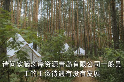 請(qǐng)問軟腦離岸資源青島有限公司一般員工的工資待遇有沒有發(fā)展