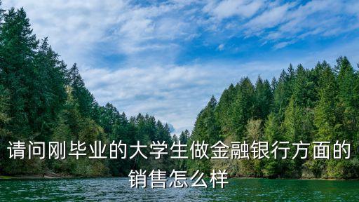 請(qǐng)問(wèn)剛畢業(yè)的大學(xué)生做金融銀行方面的銷(xiāo)售怎么樣