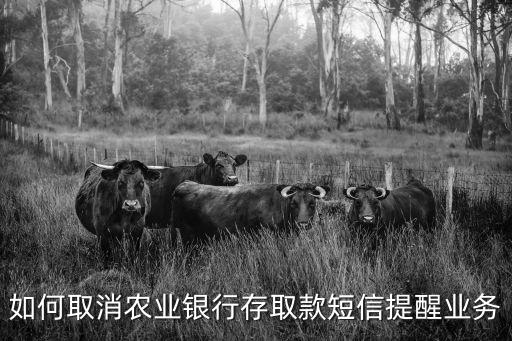 如何取消農(nóng)業(yè)銀行存取款短信提醒業(yè)務(wù)