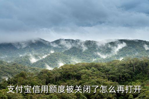 支付寶信用額度被關(guān)閉了怎么再打開