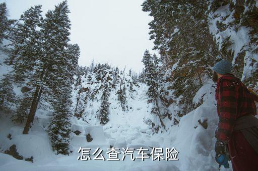 怎么查詢汽車保險(xiǎn)內(nèi)容，怎么查車輛保險(xiǎn)信息
