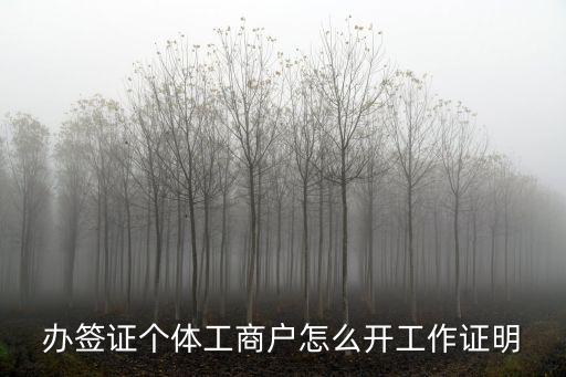 辦簽證個體工商戶怎么開工作證明