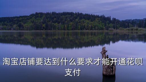 淘寶商家怎么開通花唄支付什么條件，淘寶賣家開通花唄條件