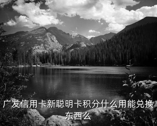 廣發(fā)信用卡新聰明卡積分什么用能兌換東西么