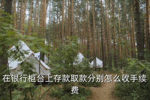 在銀行柜臺上存款取款分別怎么收手續(xù)費