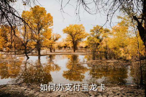 龍卡e付卡在怎么申請(qǐng)嗎，怎樣開(kāi)通支付寶龍卡